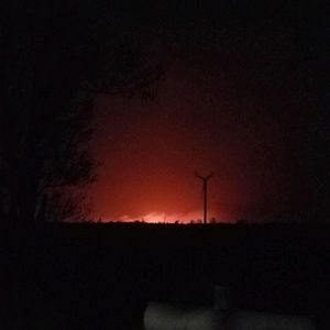 Meet your Posher, Maggie